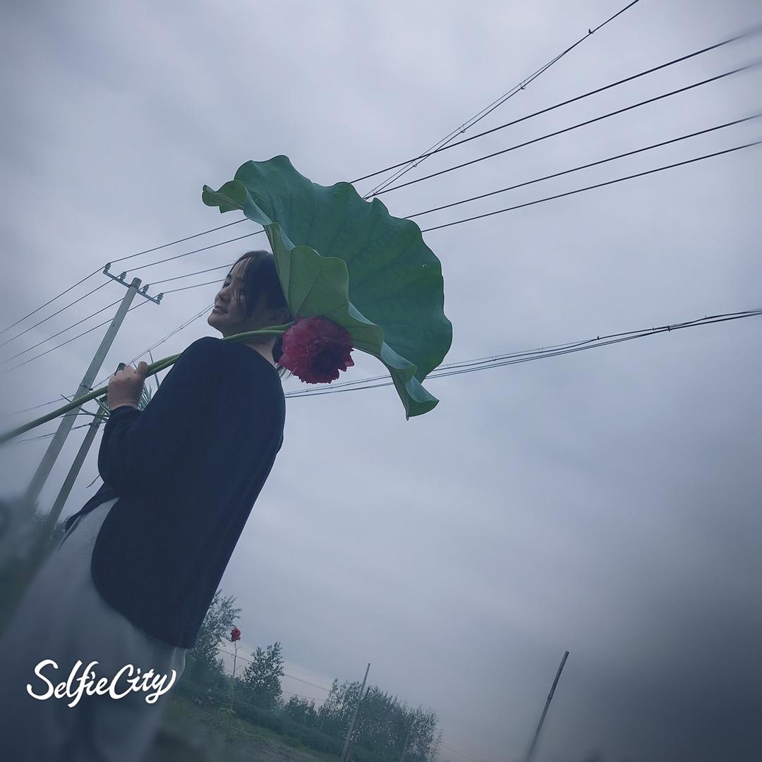 久领莲苑个体店