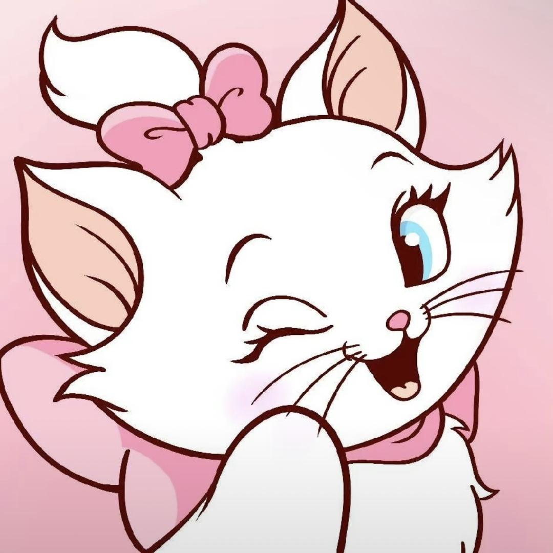 猫十七
