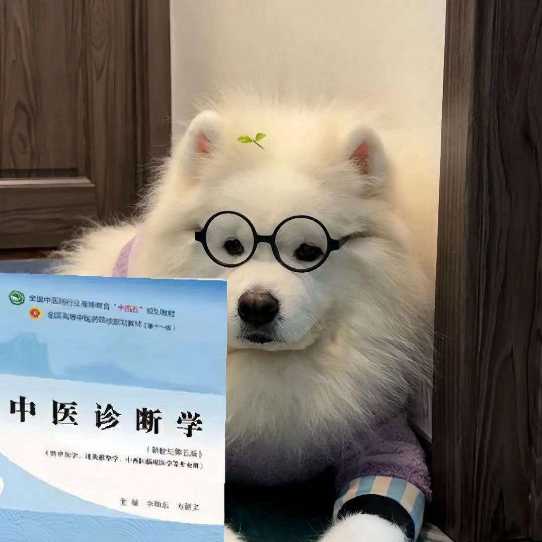 天地公司