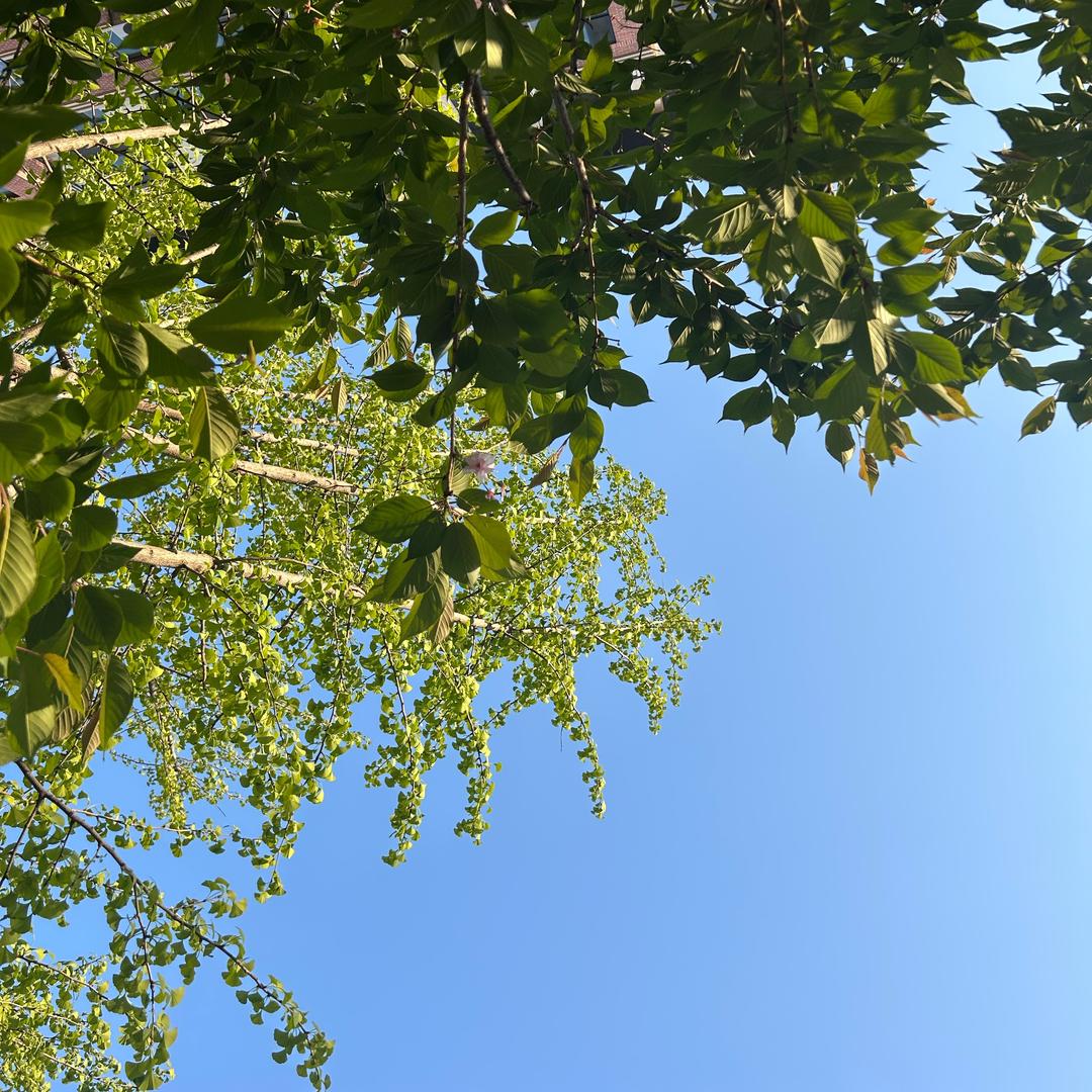 ☀️