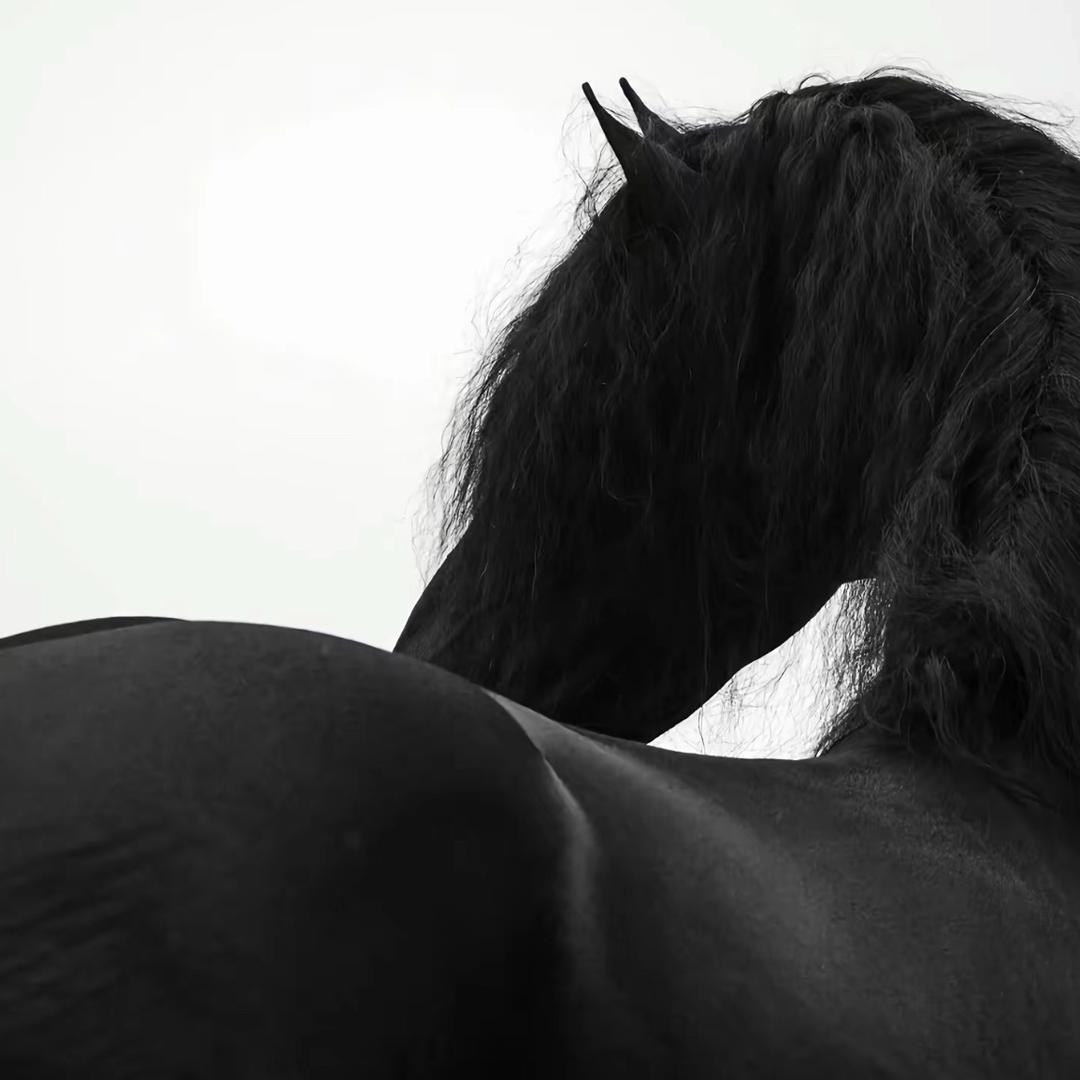 香草