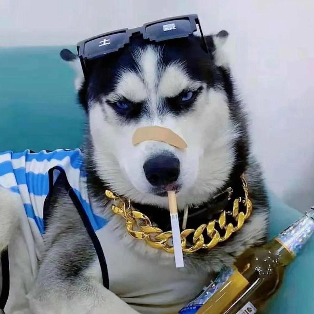 睡不着椒