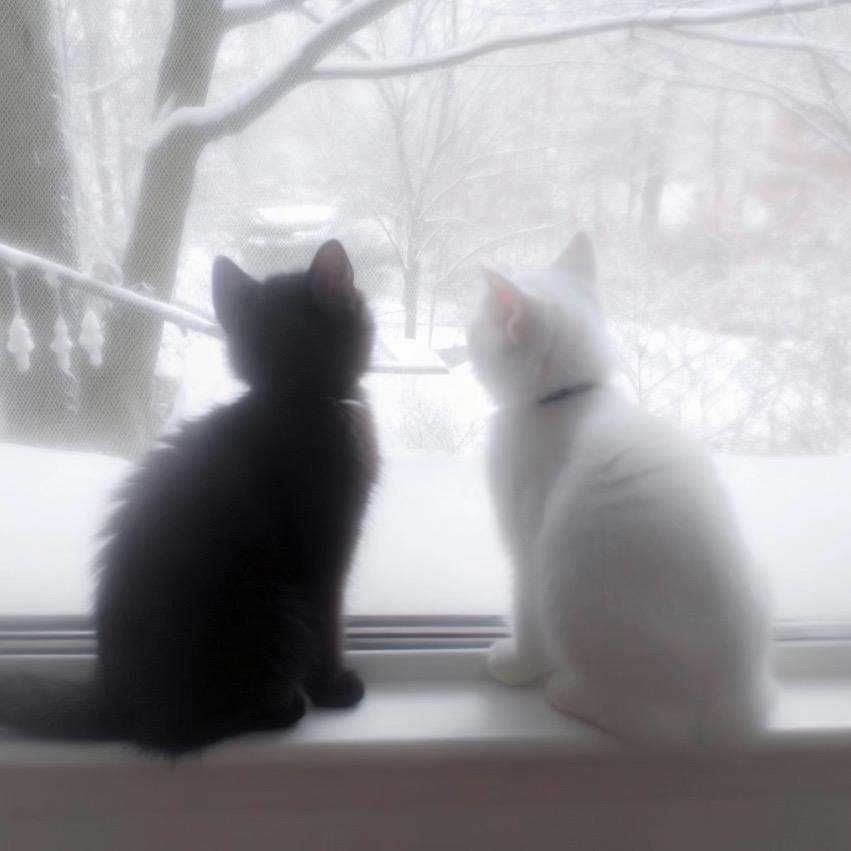 想睡觉ᶻ 𝗓 𐰁