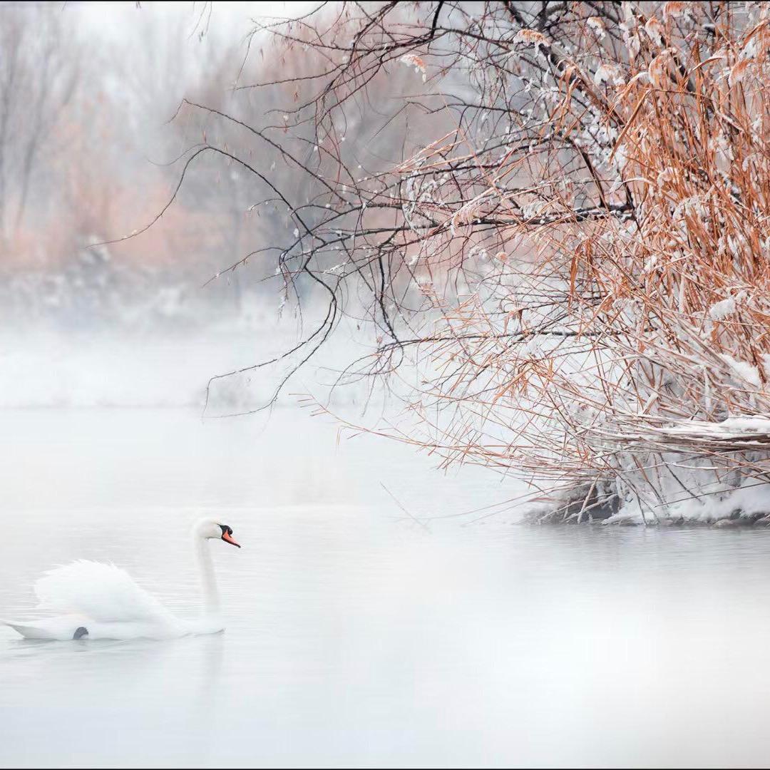 西贝先生的西贝