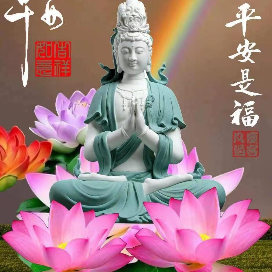 自由飞.