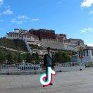 地平线瘾徒