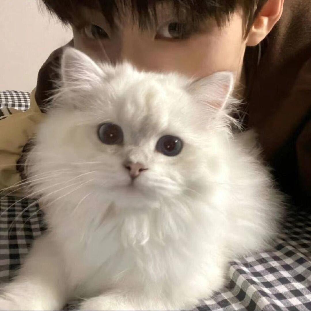 2025年平平安安😜