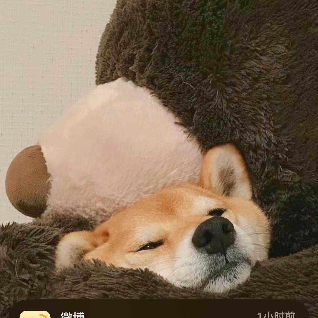 想要逃跑的小派