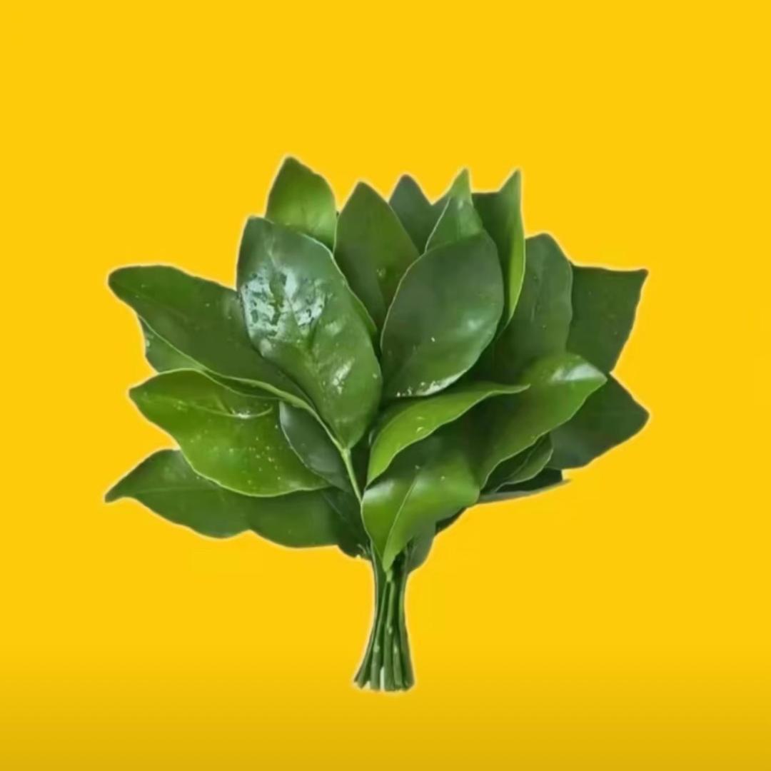 琳•