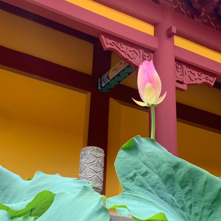 正一三飞