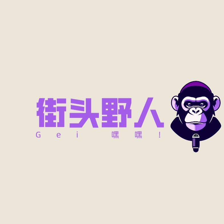 侦探野人