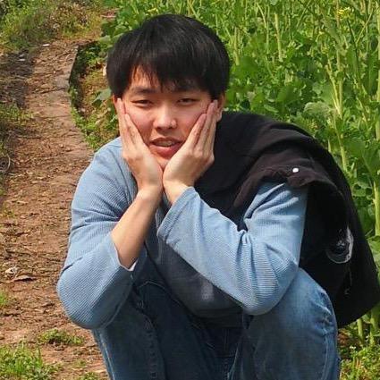 程序员大胡子(接程序开发)
