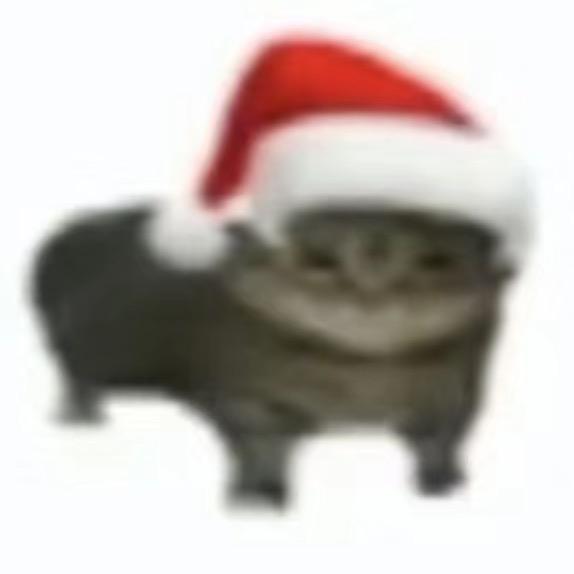 yo yo