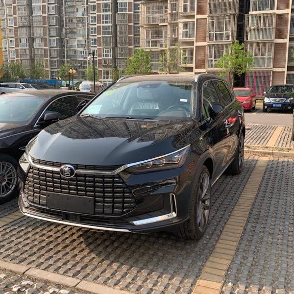 慢悠悠的大熊