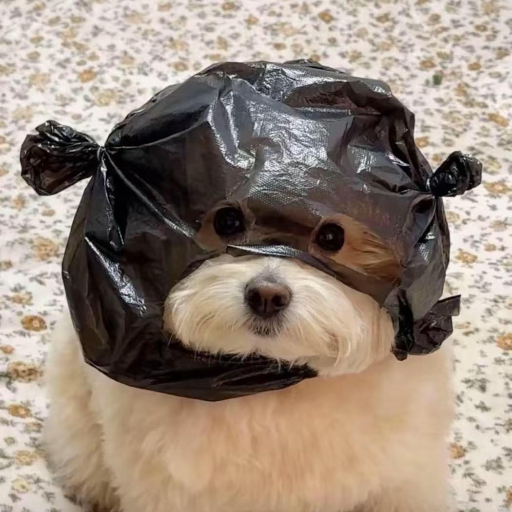 乖乖牛牛（看主页吸粉版）