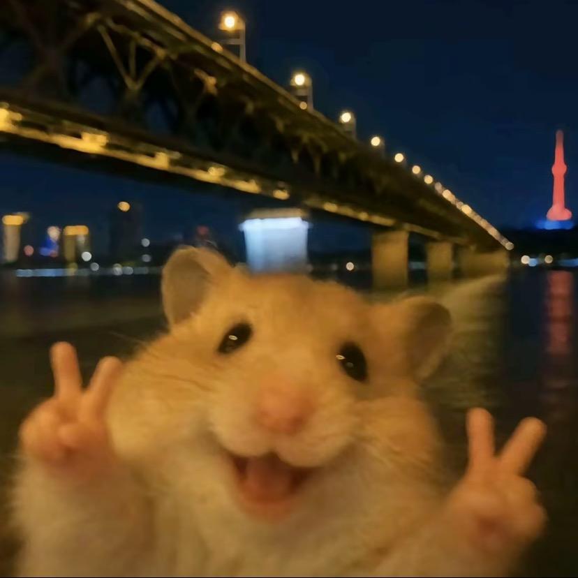 爱捡空瓶的老男孩