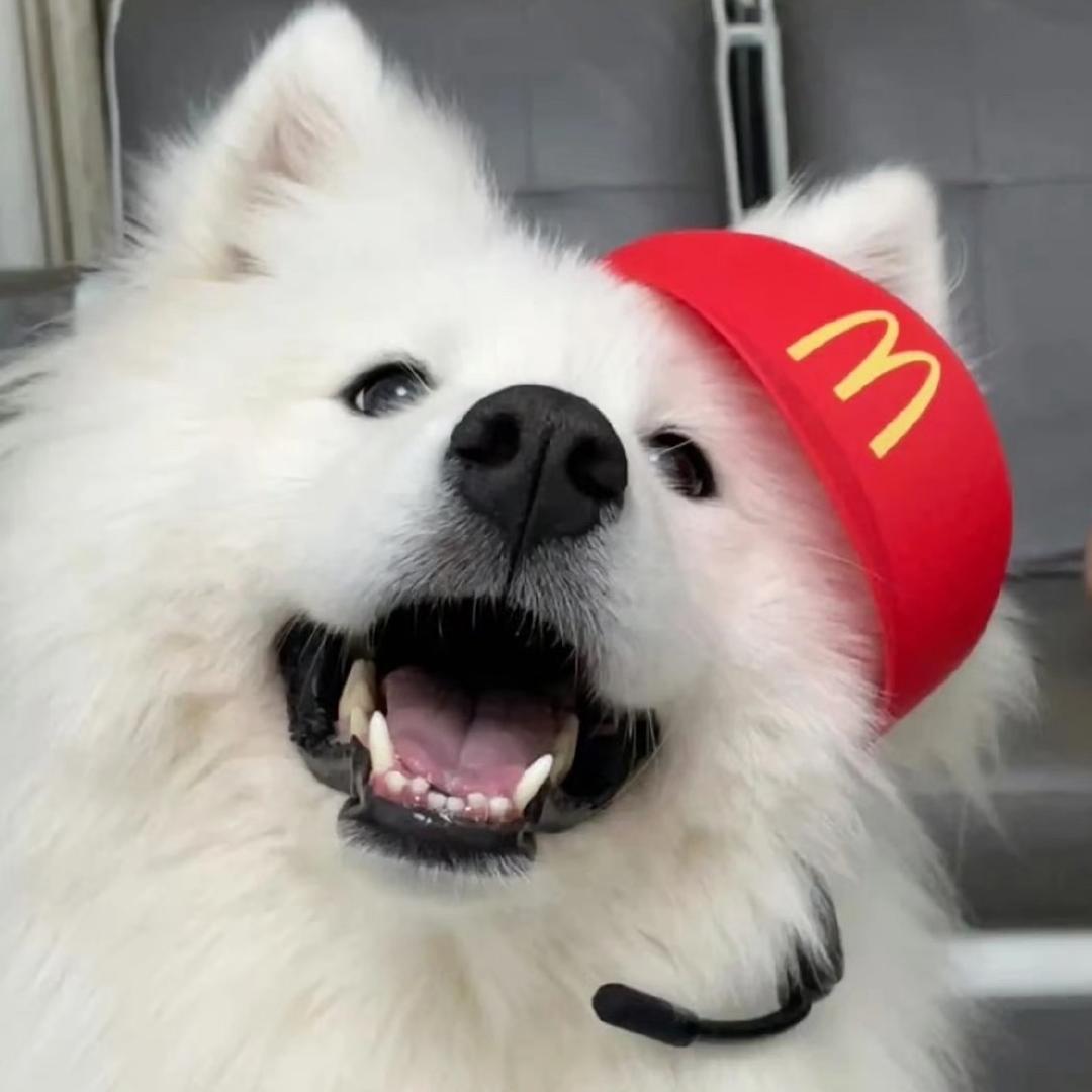 薯条味儿🍟小long包