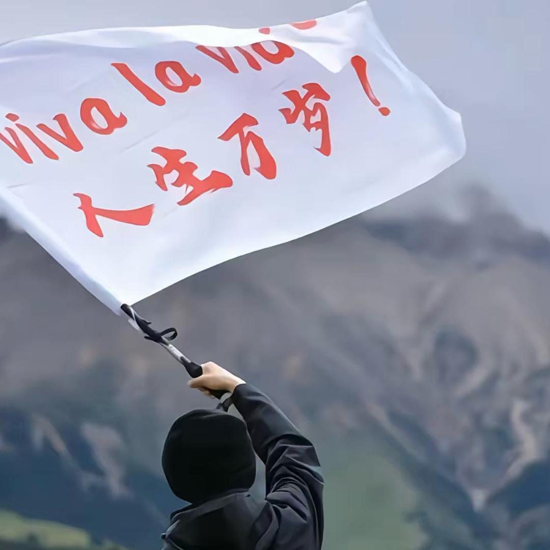 嗷嗷爱吃铁锅炖