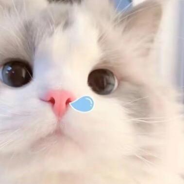 小笨