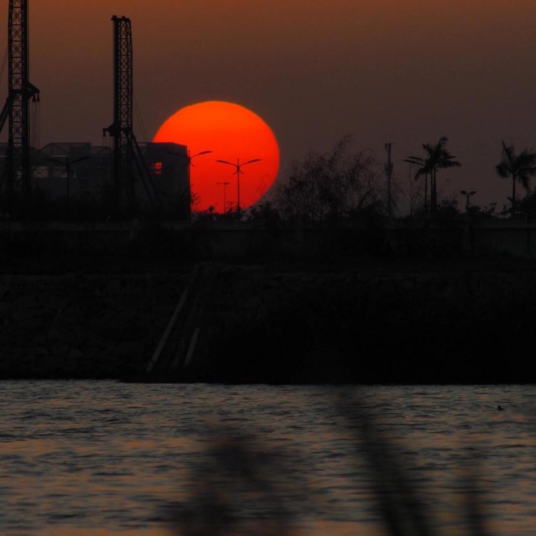 精神疾病研究所所长