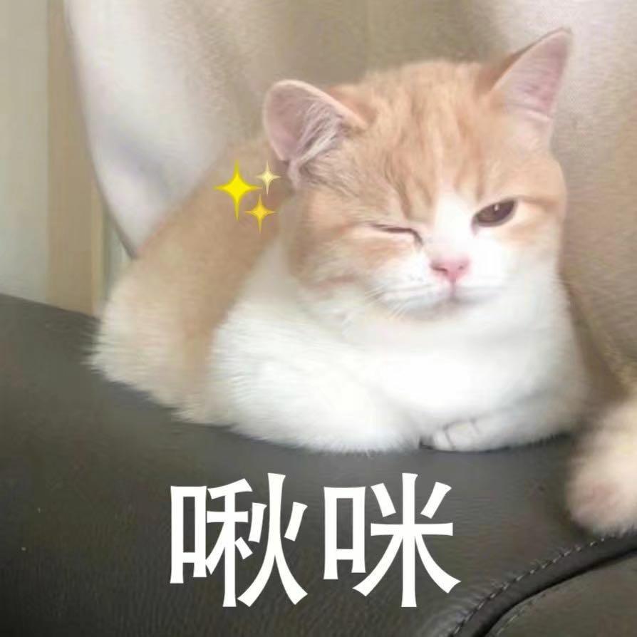 某只鹦鹉头像