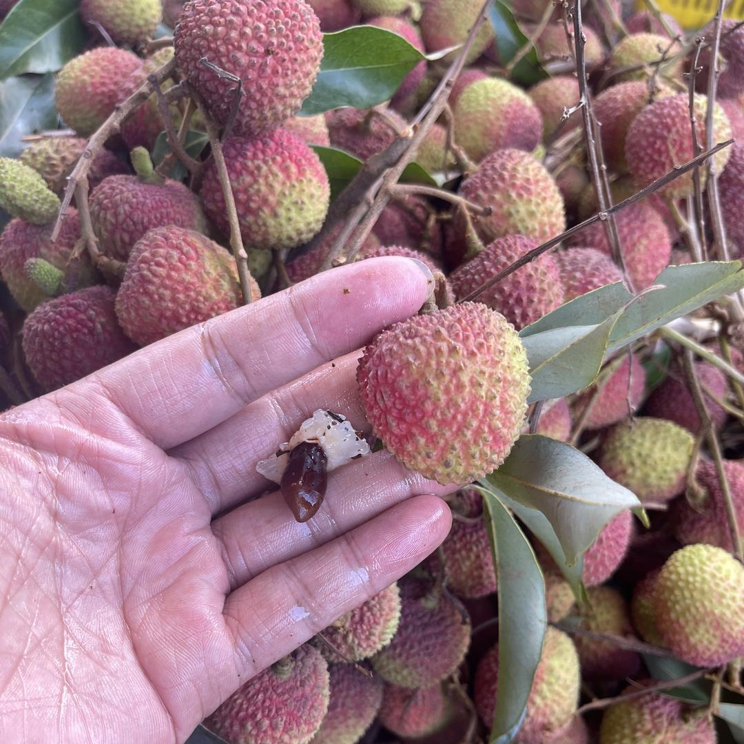 湛鲜味