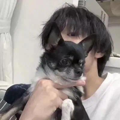 只爱你