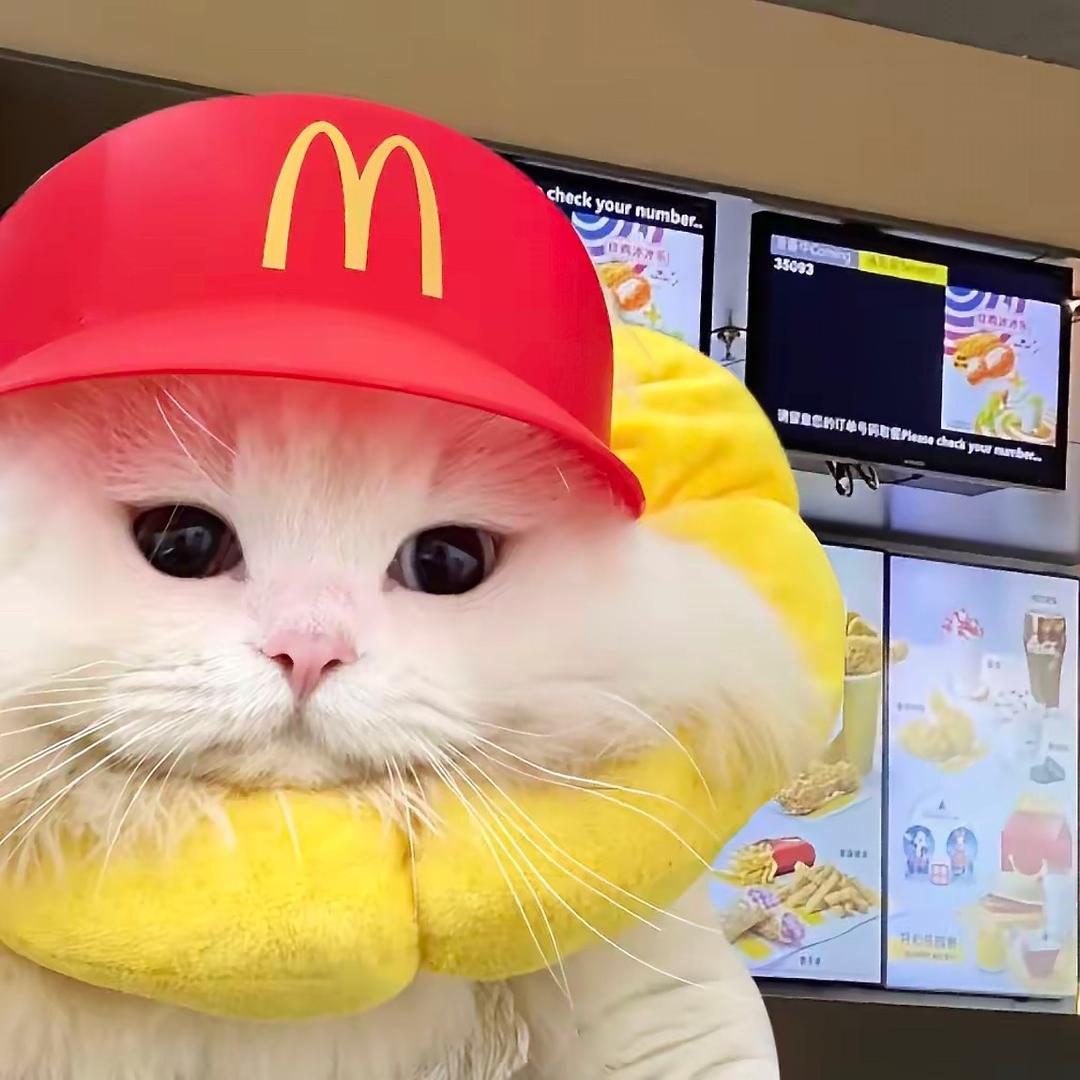 招财进宝猫