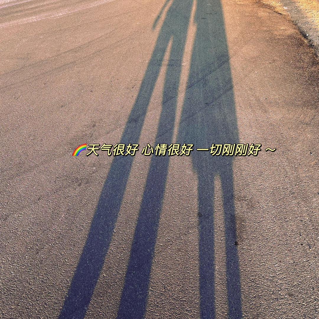 懒懒的丸子