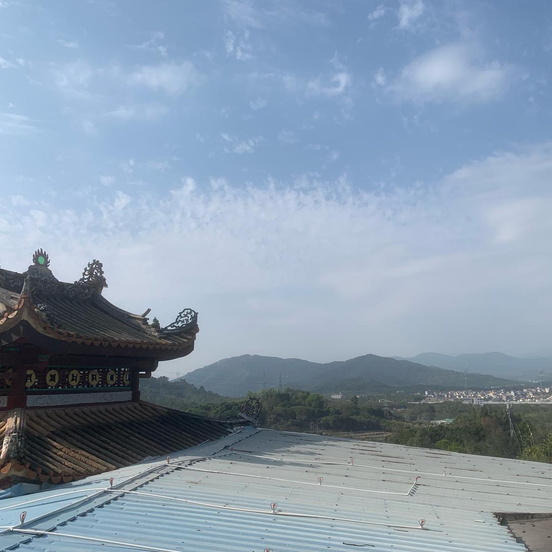 顺顺发发发