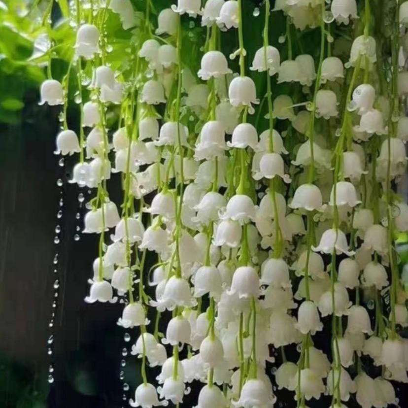 俊狮顿服饰有限公司