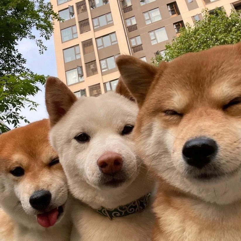 容嬷嬷的春天