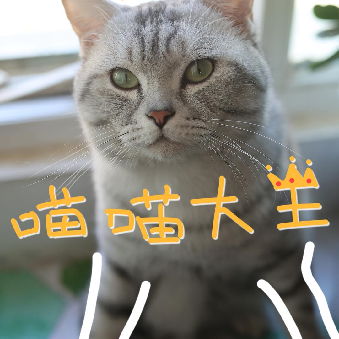 小汤圆儿