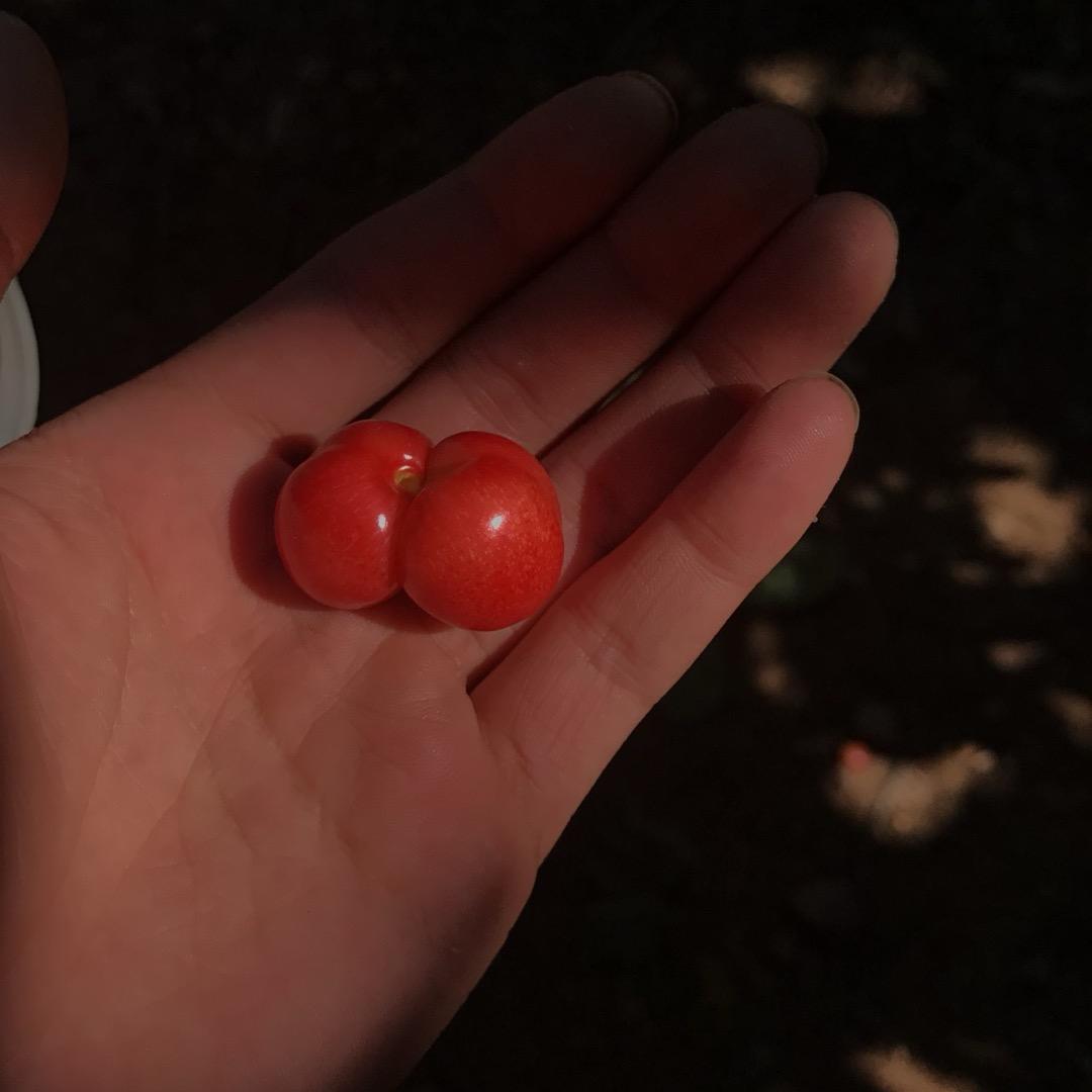 江河水总有入海时