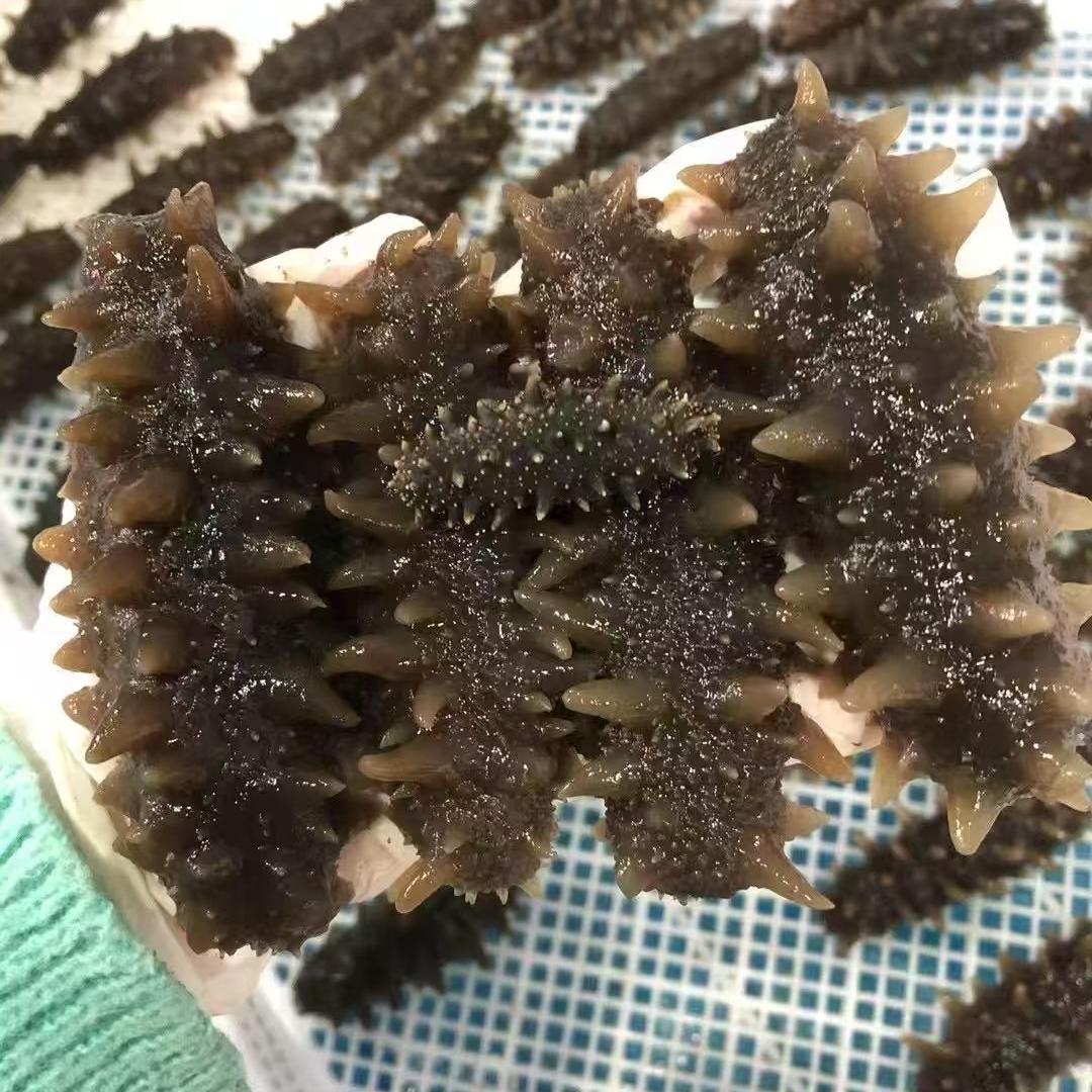 润诚海参
