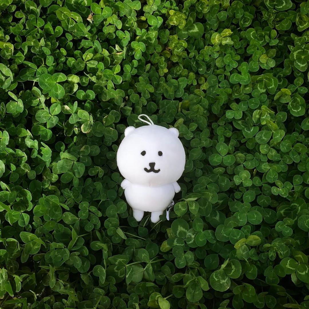 一只幸运雀