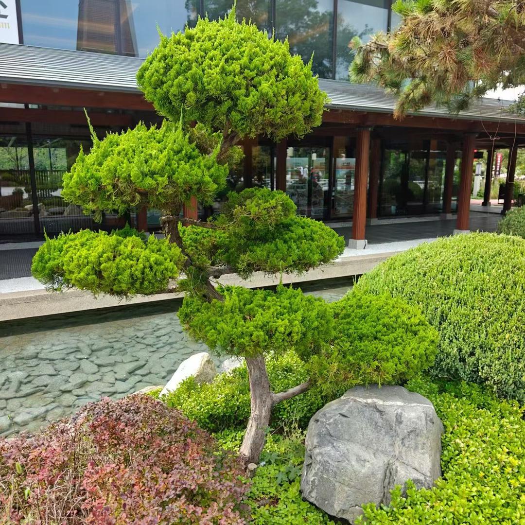脚踏万里河山