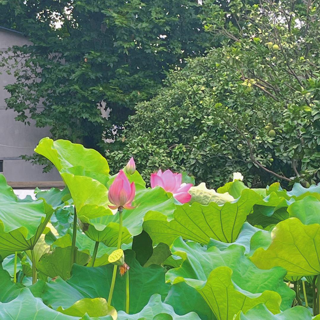 陈陈.