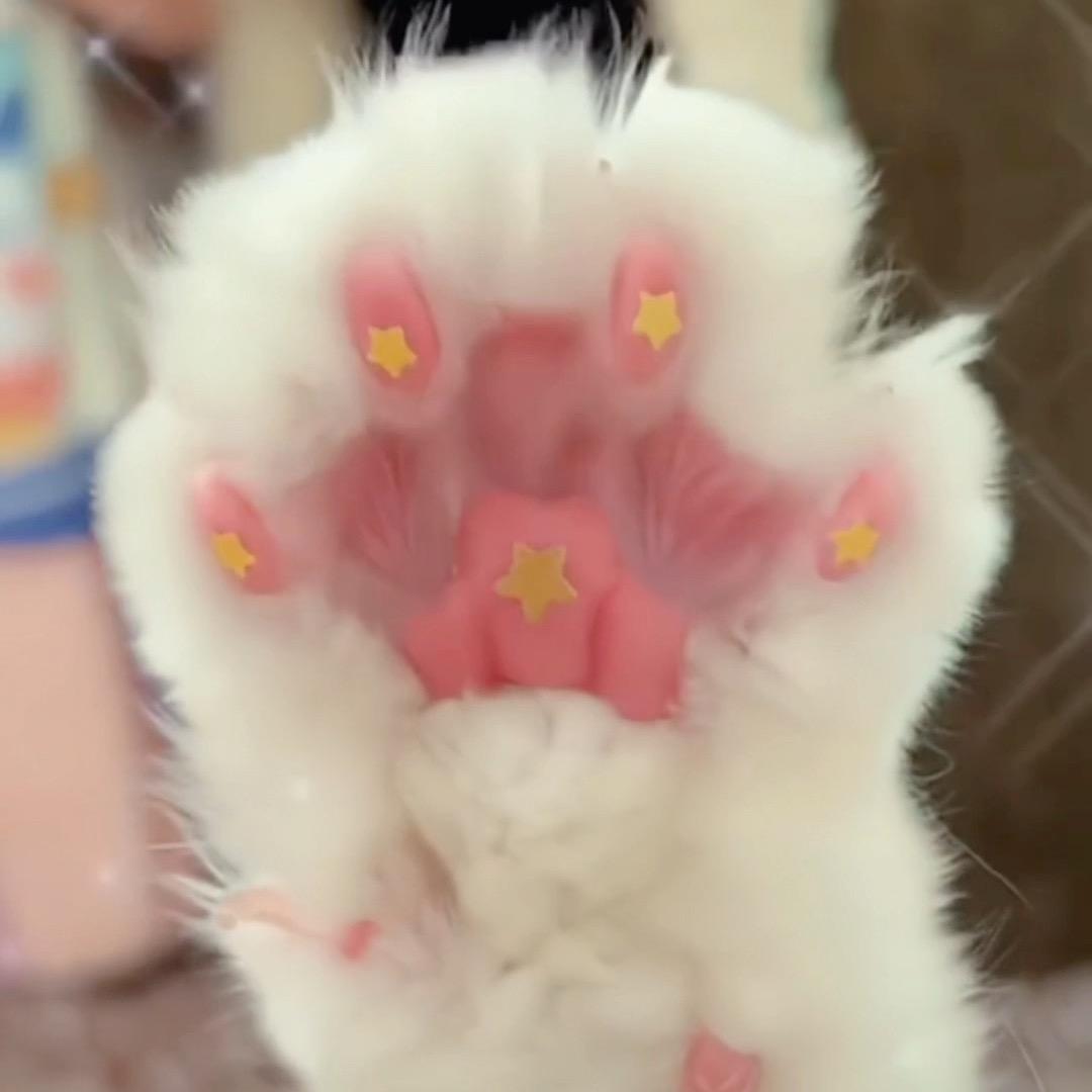 ฅ伸爪爪俱乐部部长ฅ