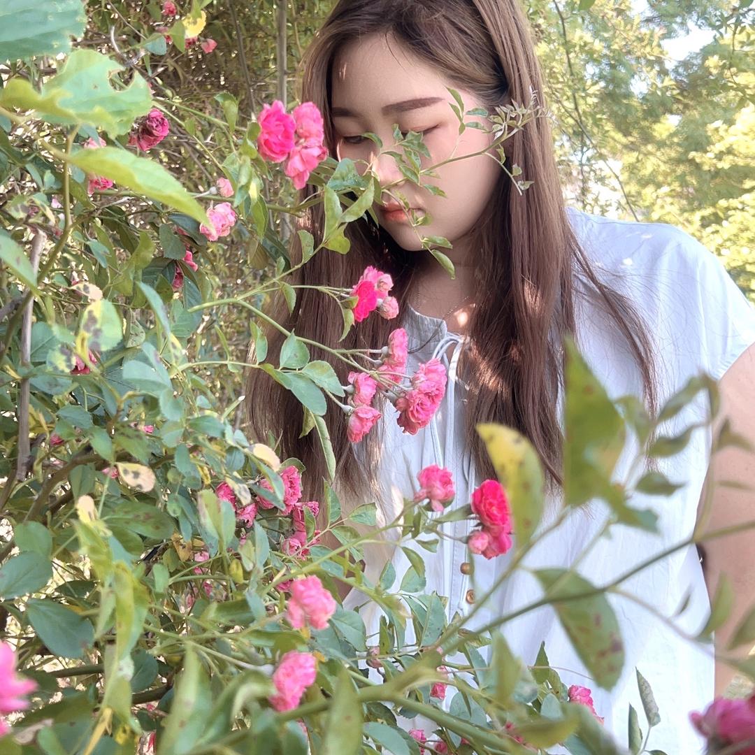 维维