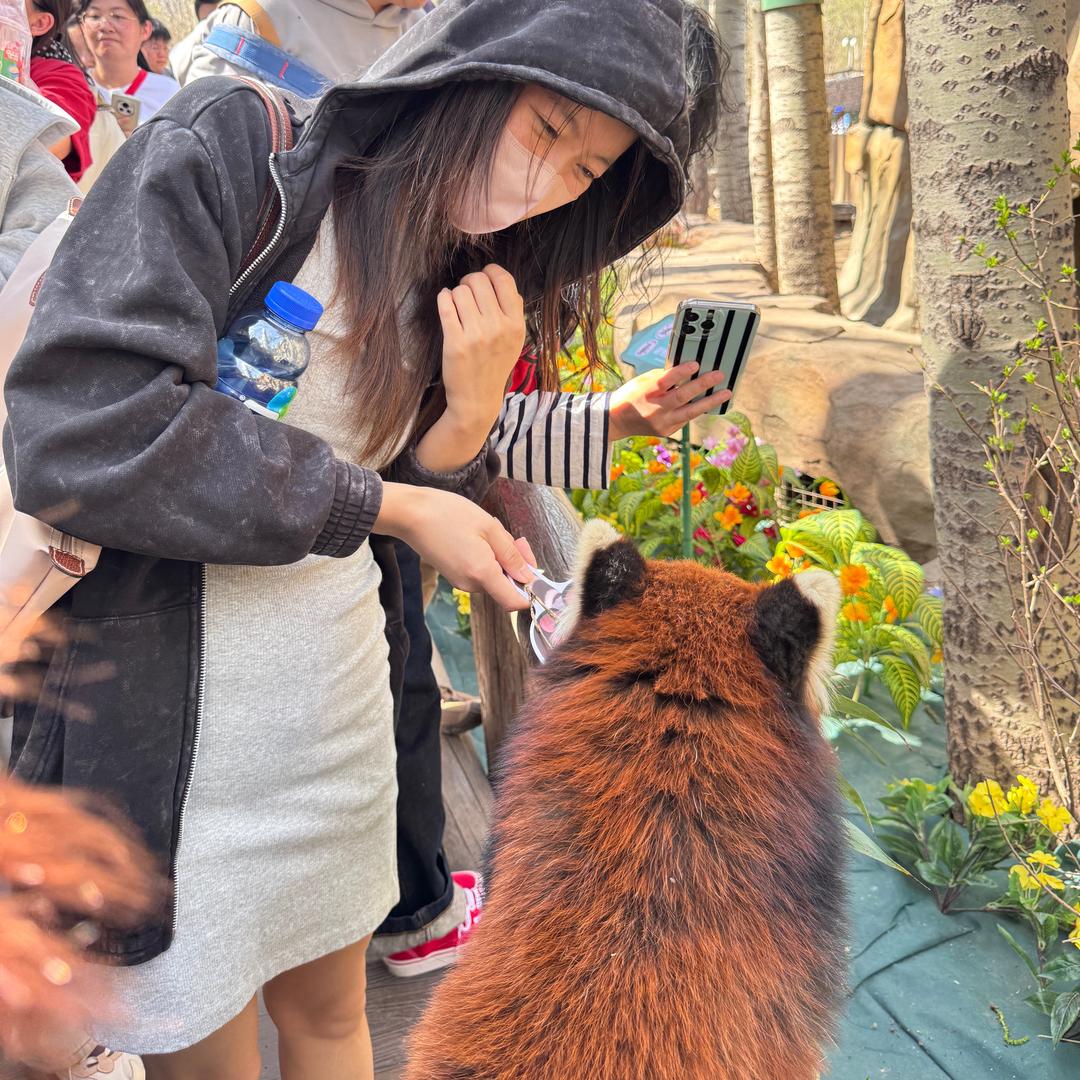 我不是夏树