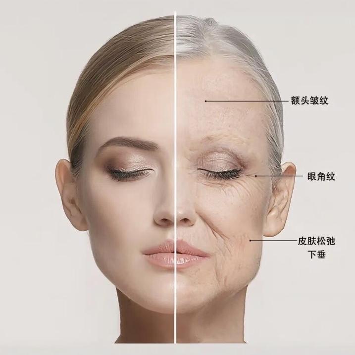 王掌柜抗皱研究中心