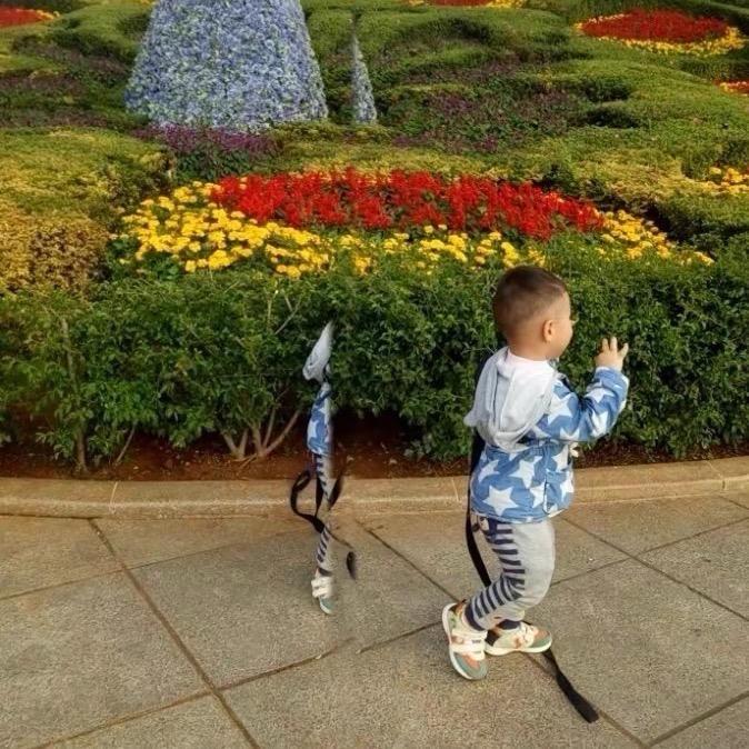 🍃💞刘刘大顺💞🍃