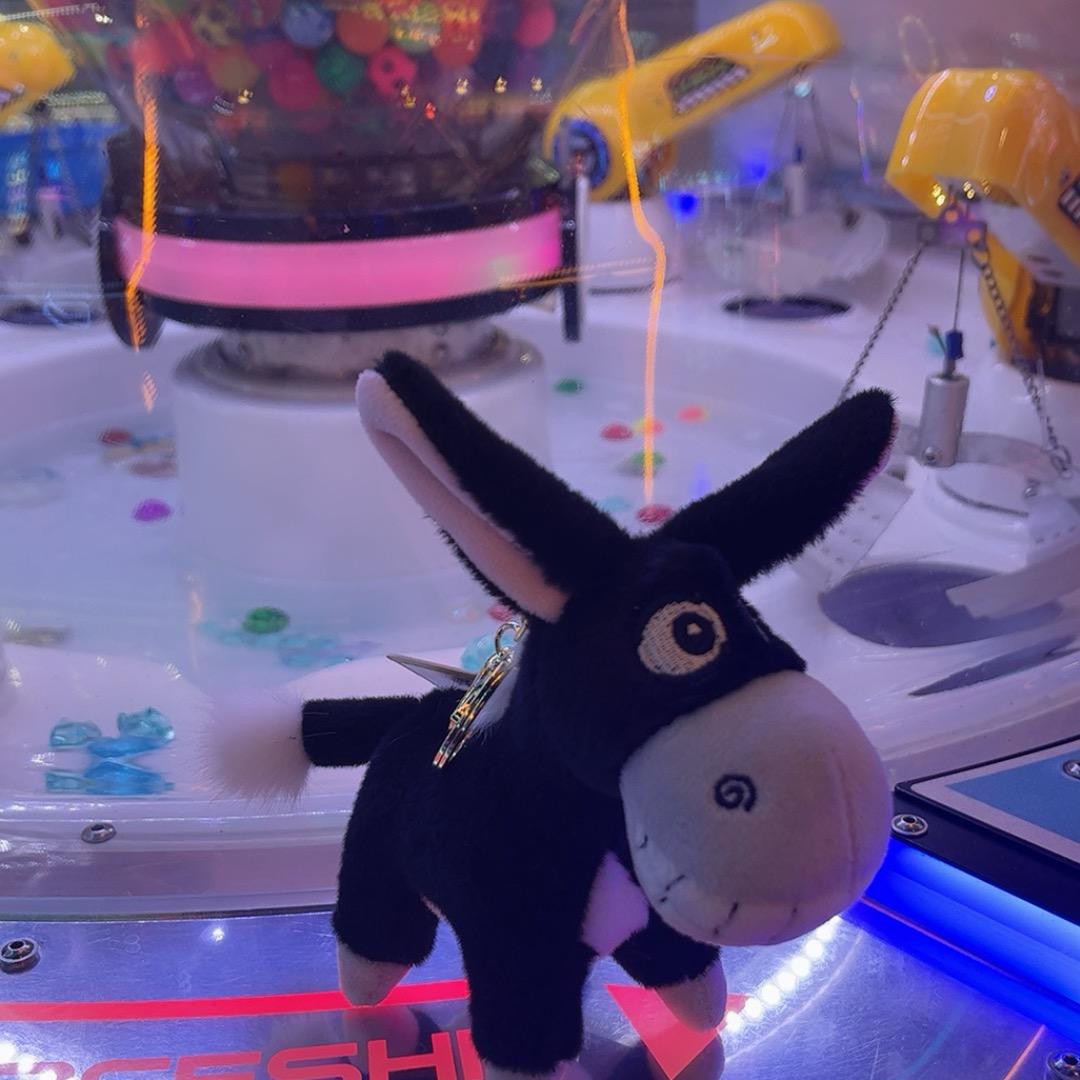 一米阳光