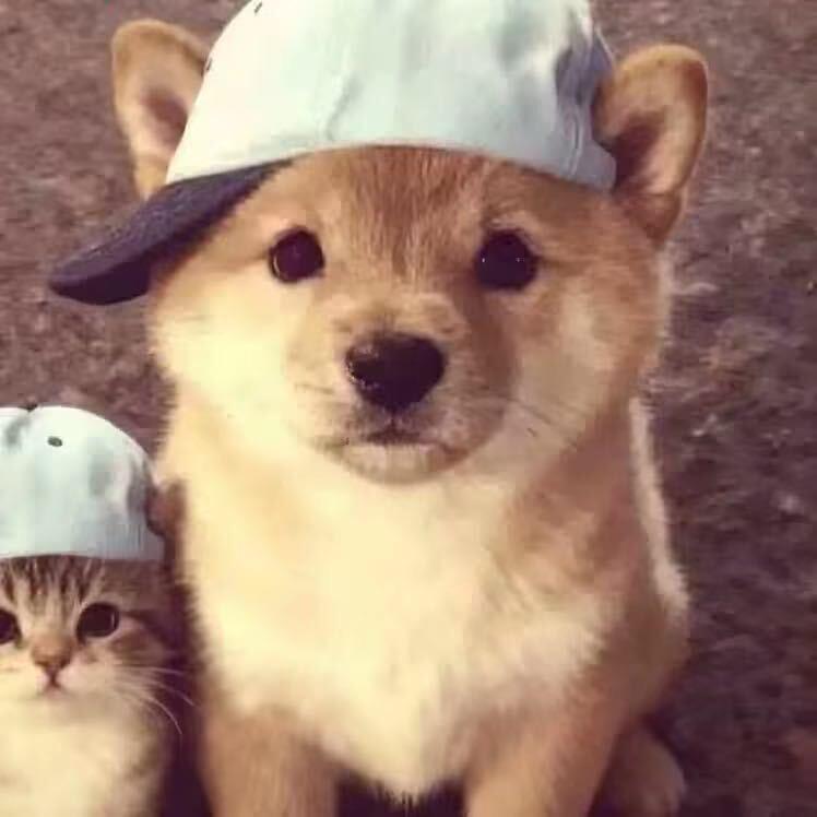 筱枭黥