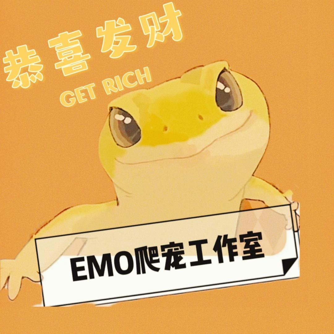 Emo倒立玩守宫🦎