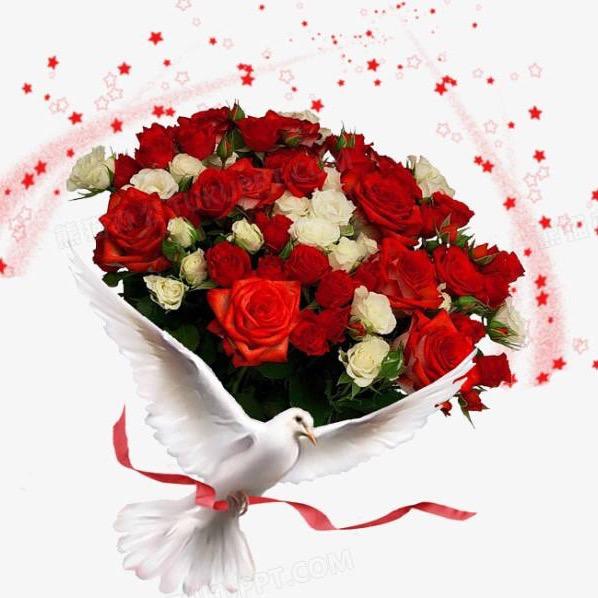 美好爱恋🌹