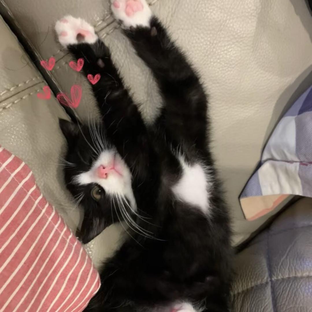 ·-·