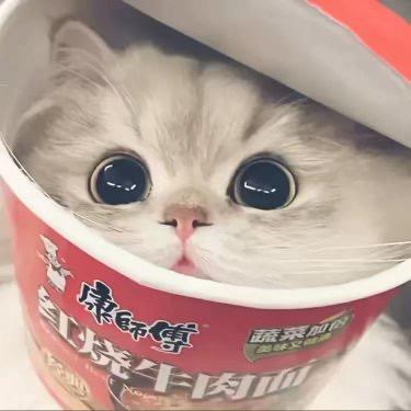 小陈，