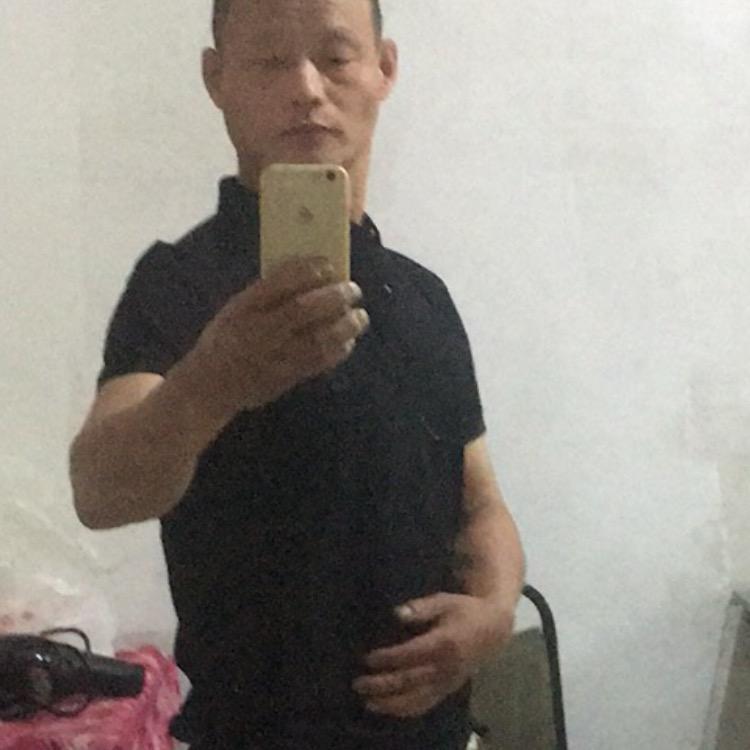 马路骆驼